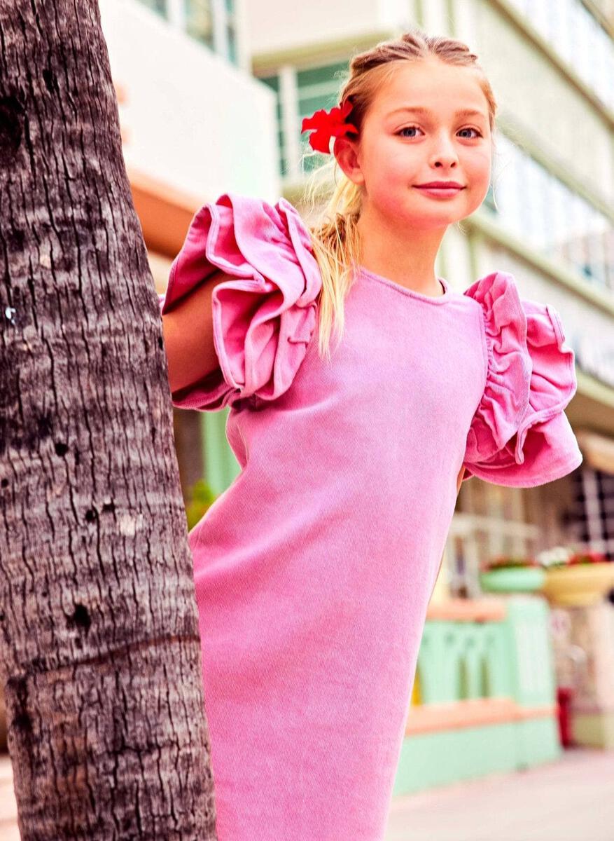 Pink Princess Denim Ruffle Dress