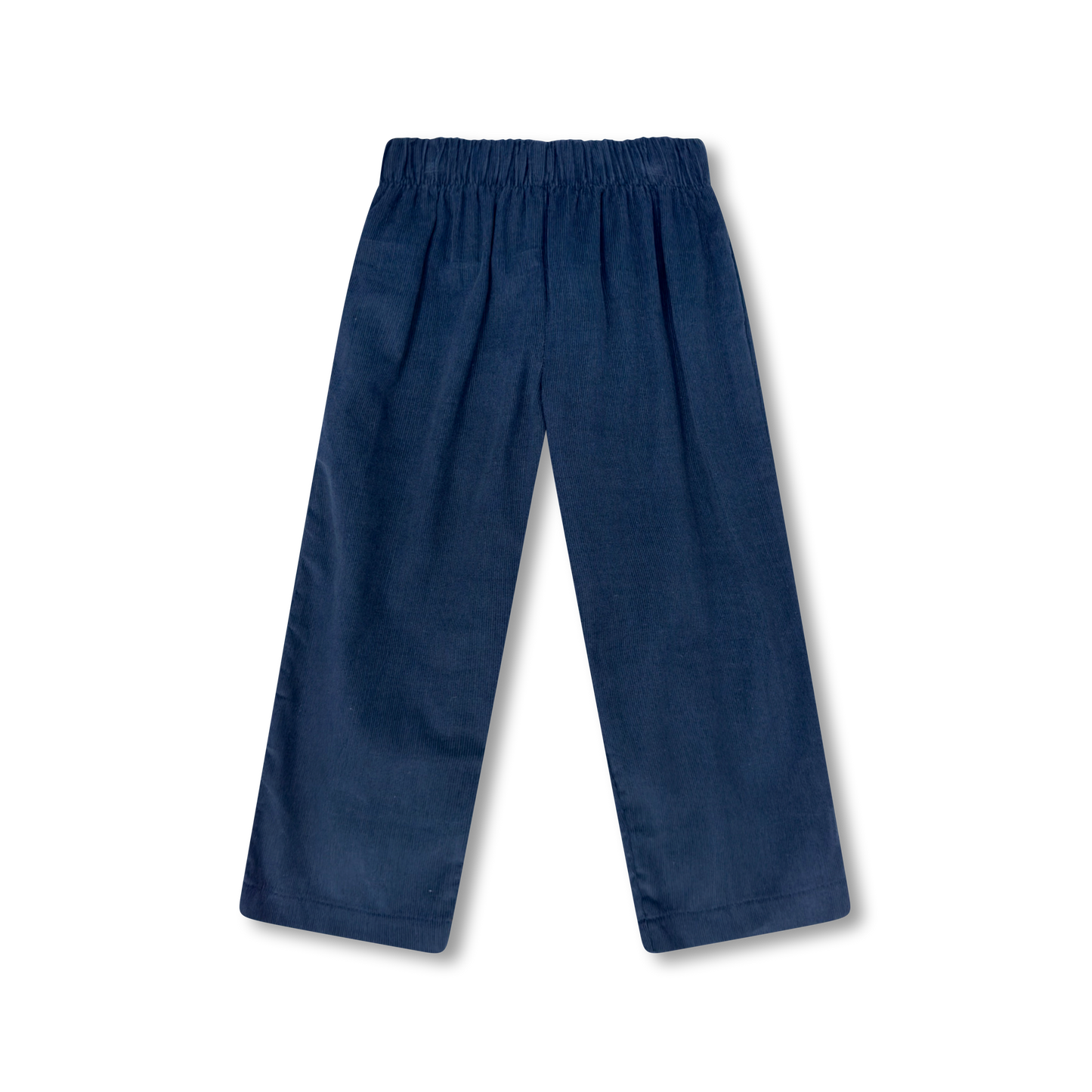 Princeton Navy William Pant